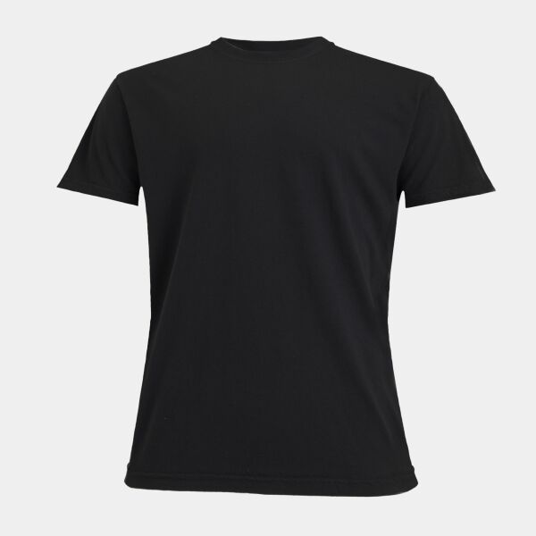 Heavyweight adult t-shirt Thumbnail