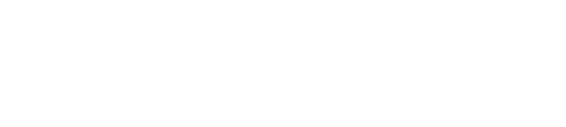 Veek GROUP