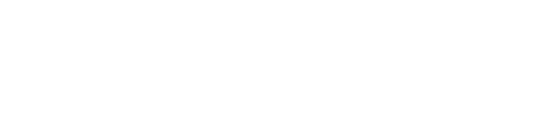 Veek GROUP